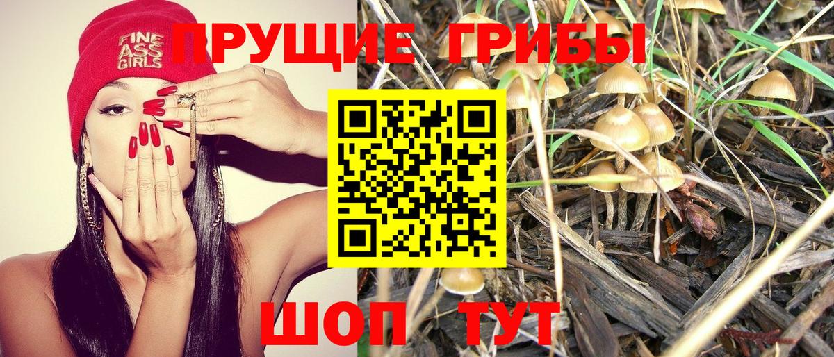Галлюциногенные грибы Cubensis Ялуторовск
