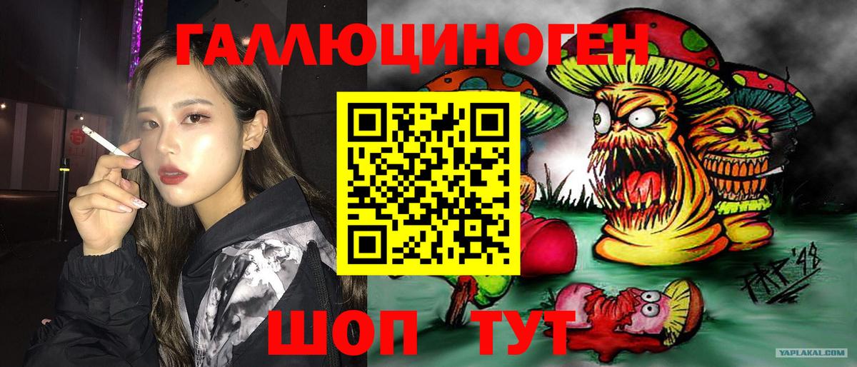 где можно купить наркотик  Вход с VPN  Ялуторовск  Галлюциногенные грибы Psilocybine cubensis 